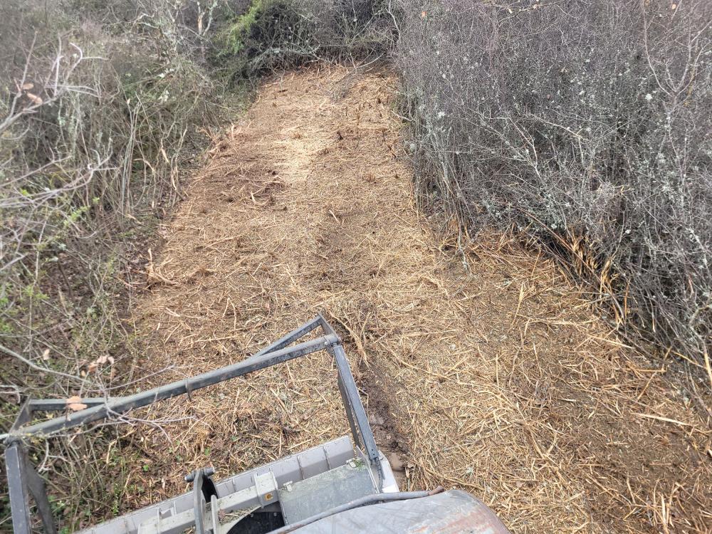 débroussaillage haie morte