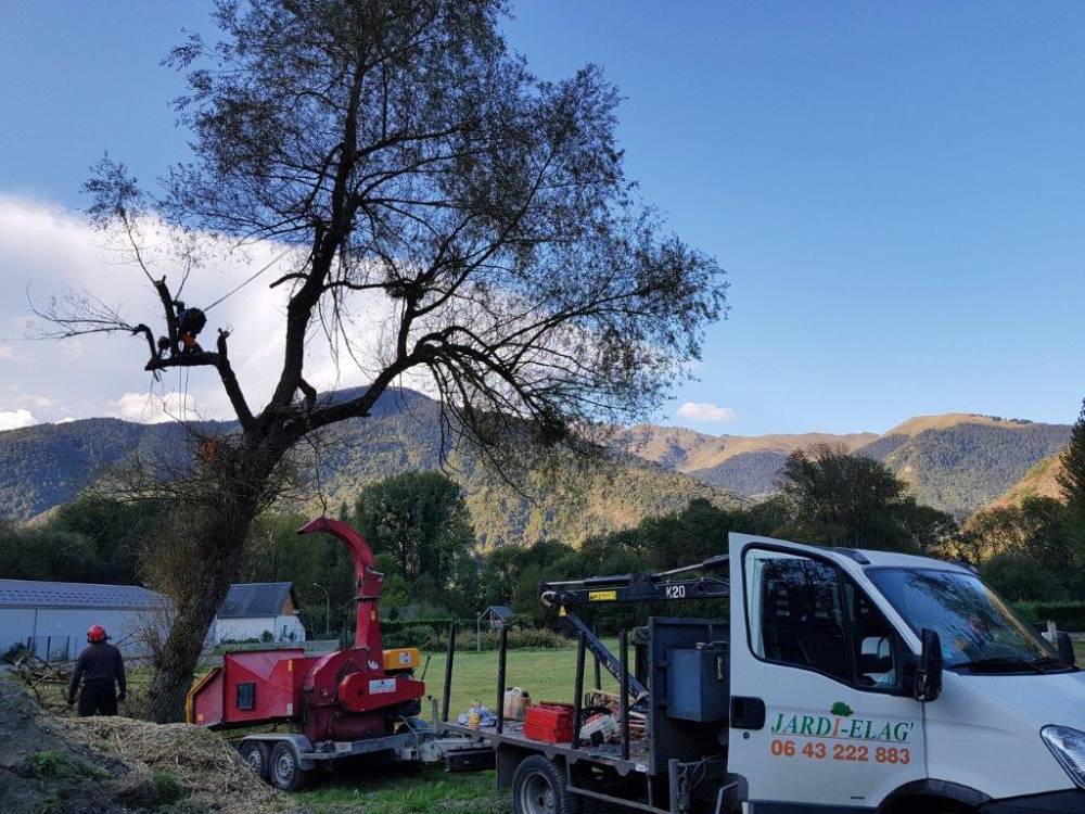 abattage d'arbre