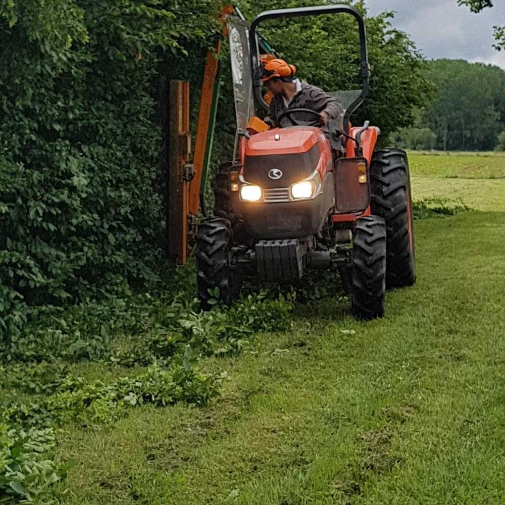 taille_haie_mécanisé