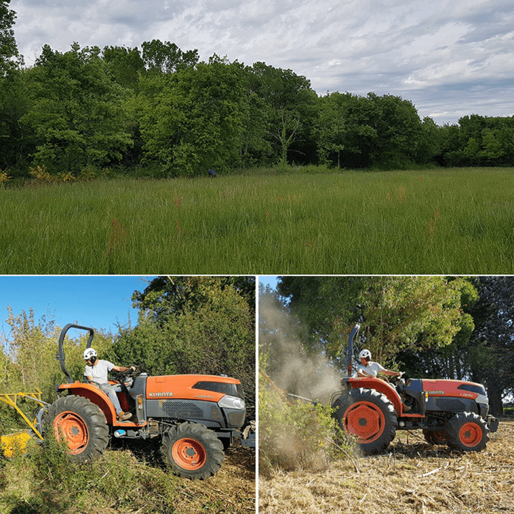 petit_debroussaillage