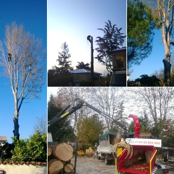 entretien_espace_verts