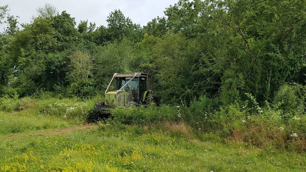 débutdudébraoussaillage2-min_optimized