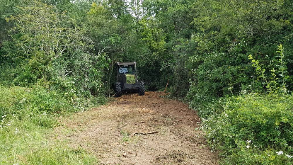 débutdudébrossaillage4-min_optimized