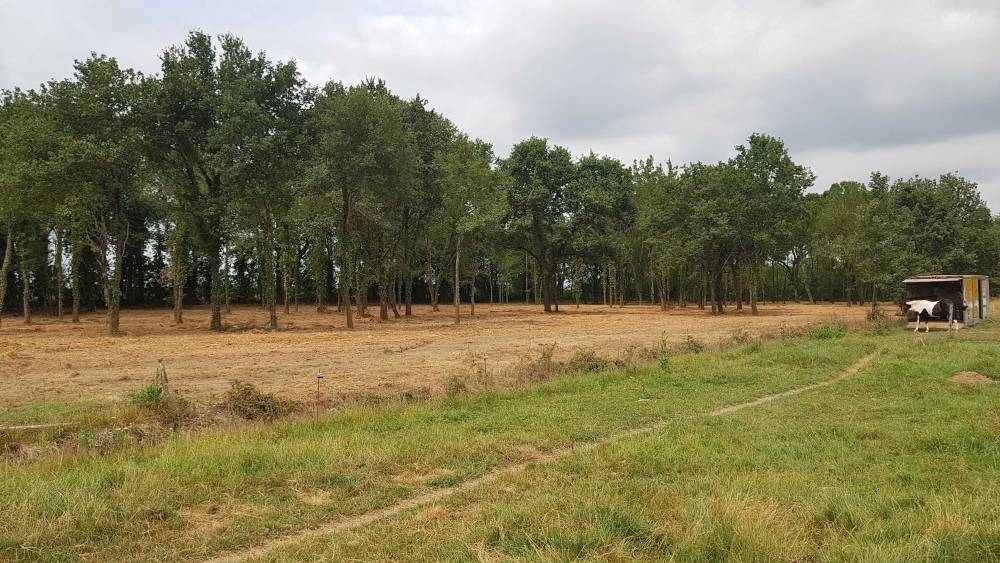 finduchantier6-min_optimized